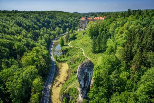 Палиця Геркулеса 